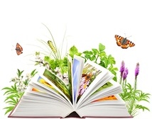 Hviezdoslavov Kubín